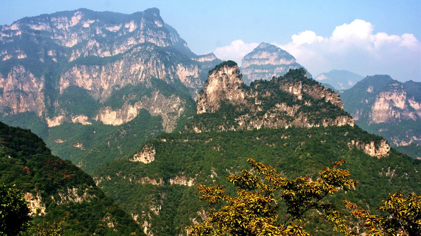 Máme Taihang hory (Minghu Metasequoia práce) #10 - 1366x768