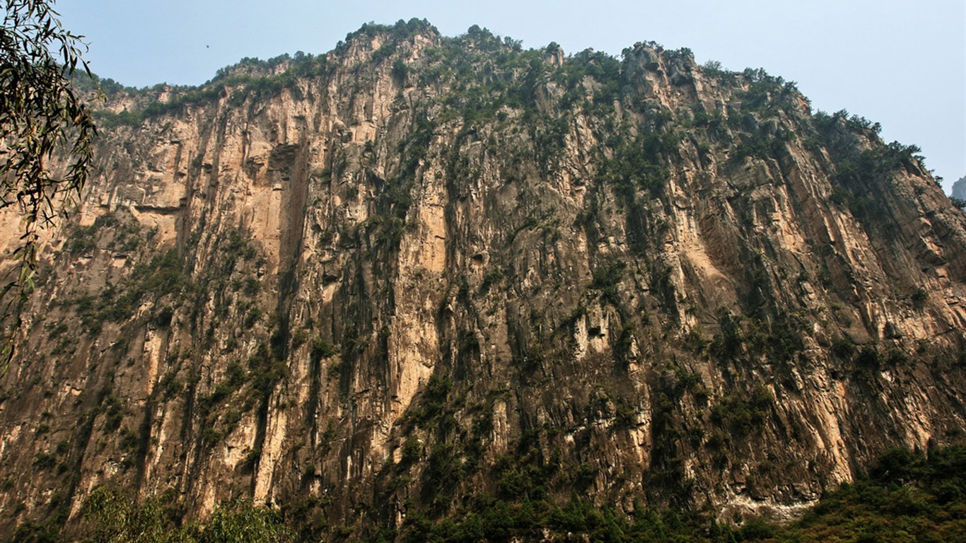 We have the Taihang Mountains (Minghu Metasequoia works) #11 - 1366x768