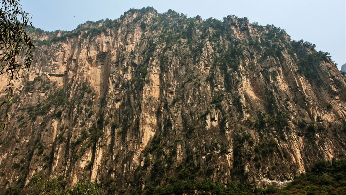 Máme Taihang hory (Minghu Metasequoia práce) #11 - 1366x768