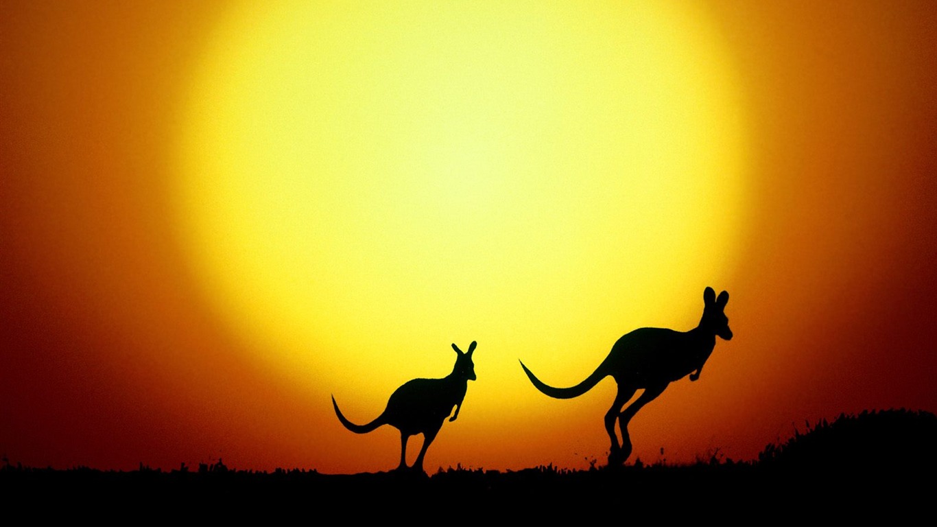 Características hermosos paisajes de Australia #18 - 1366x768