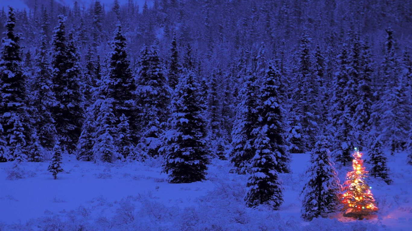 Christmas landscaping series wallpaper (4) #3 - 1366x768