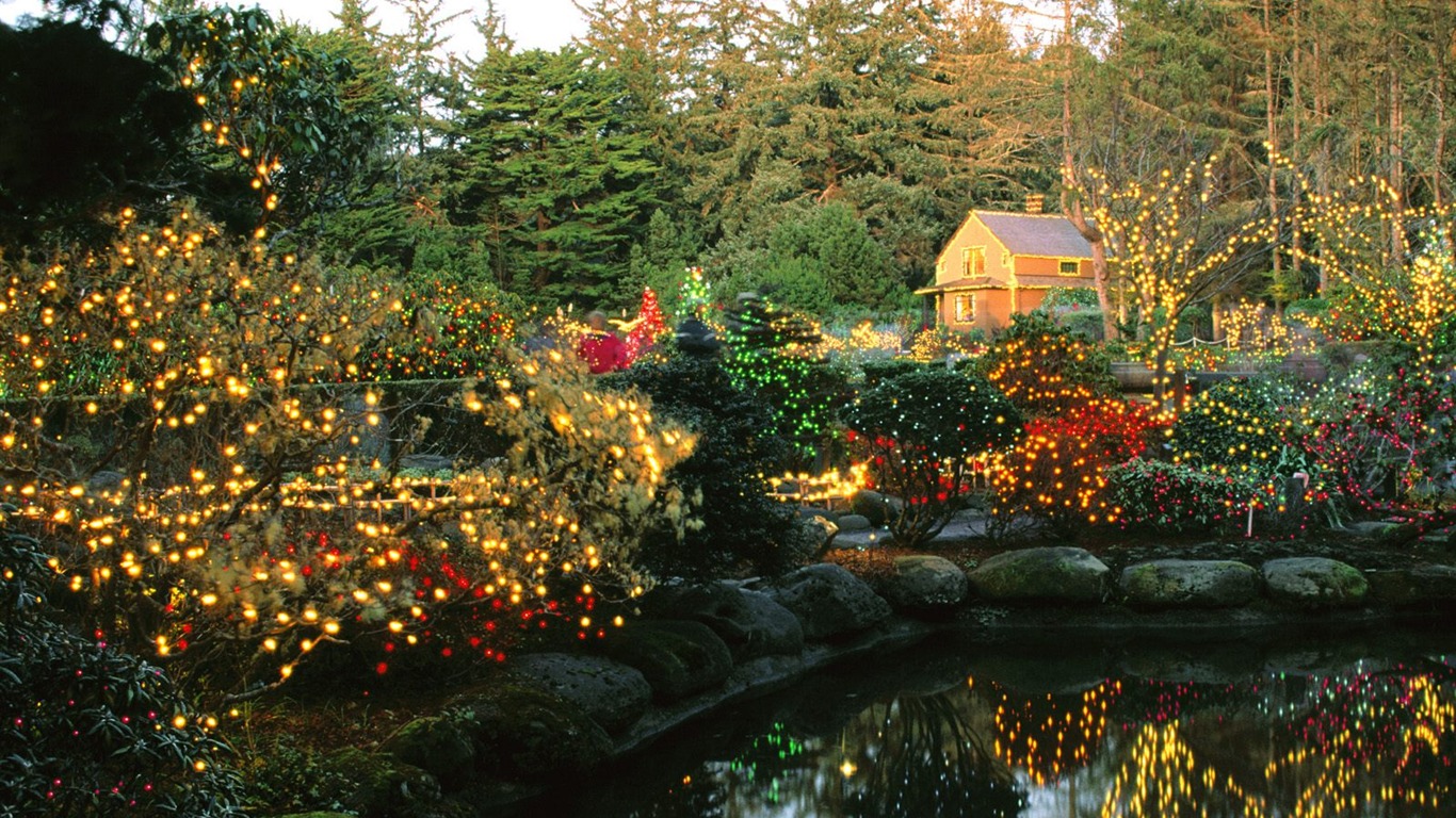 Christmas landscaping series wallpaper (4) #10 - 1366x768