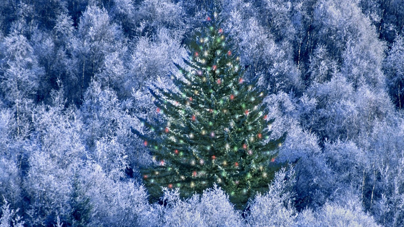 크리스마스 조경 벽지 시리즈 (4) #15 - 1366x768