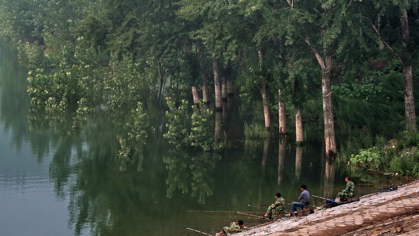 Skici základní dojem (Minghu Metasequoia práce) #4 - 1366x768