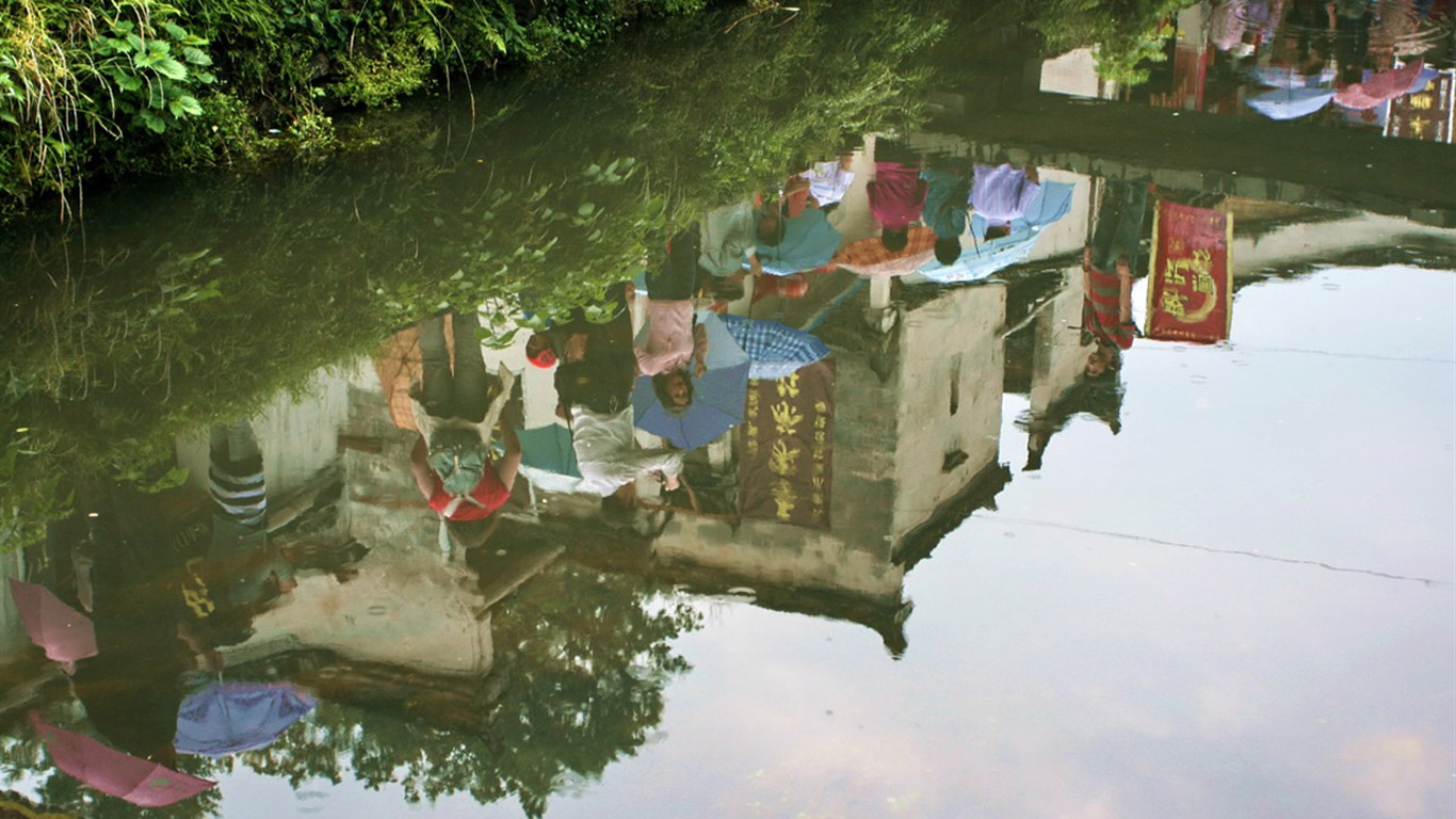 Wuyuan in the rain line (Minghu Metasequoia works) #3 - 1366x768