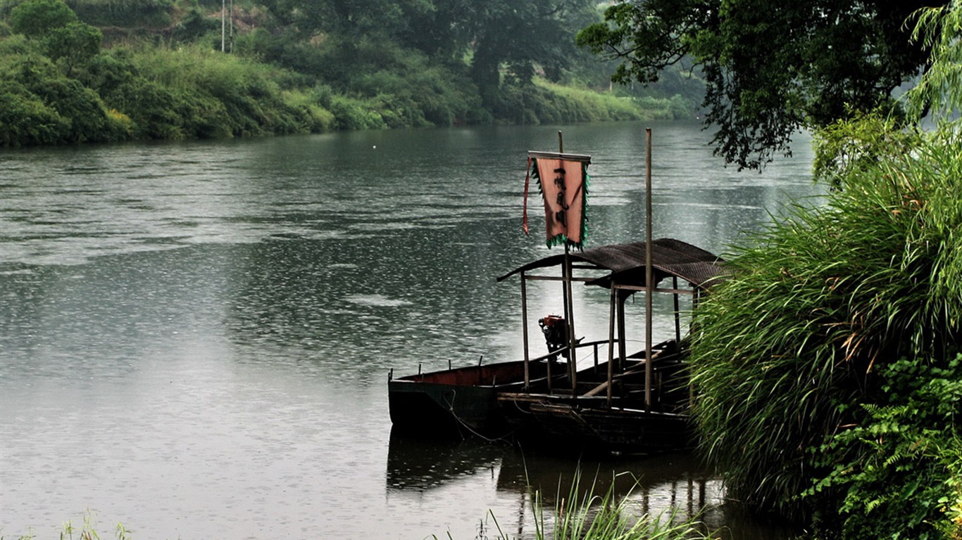 Wuyuan in the rain line (Minghu Metasequoia works) #8 - 1366x768