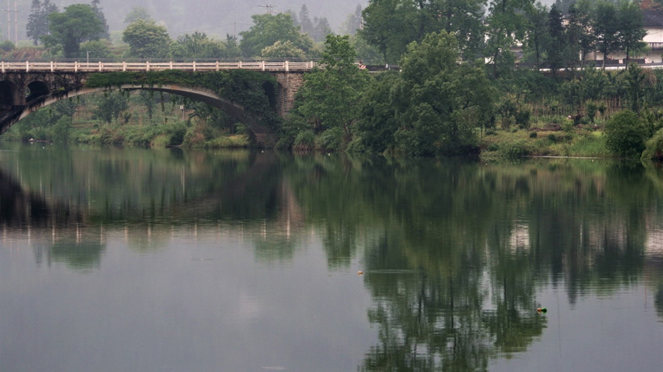 Wuyuan v dešti řádku (Minghu Metasequoia práce) #10 - 1366x768