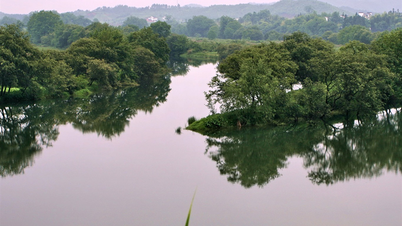 Wuyuan v dešti řádku (Minghu Metasequoia práce) #11 - 1366x768
