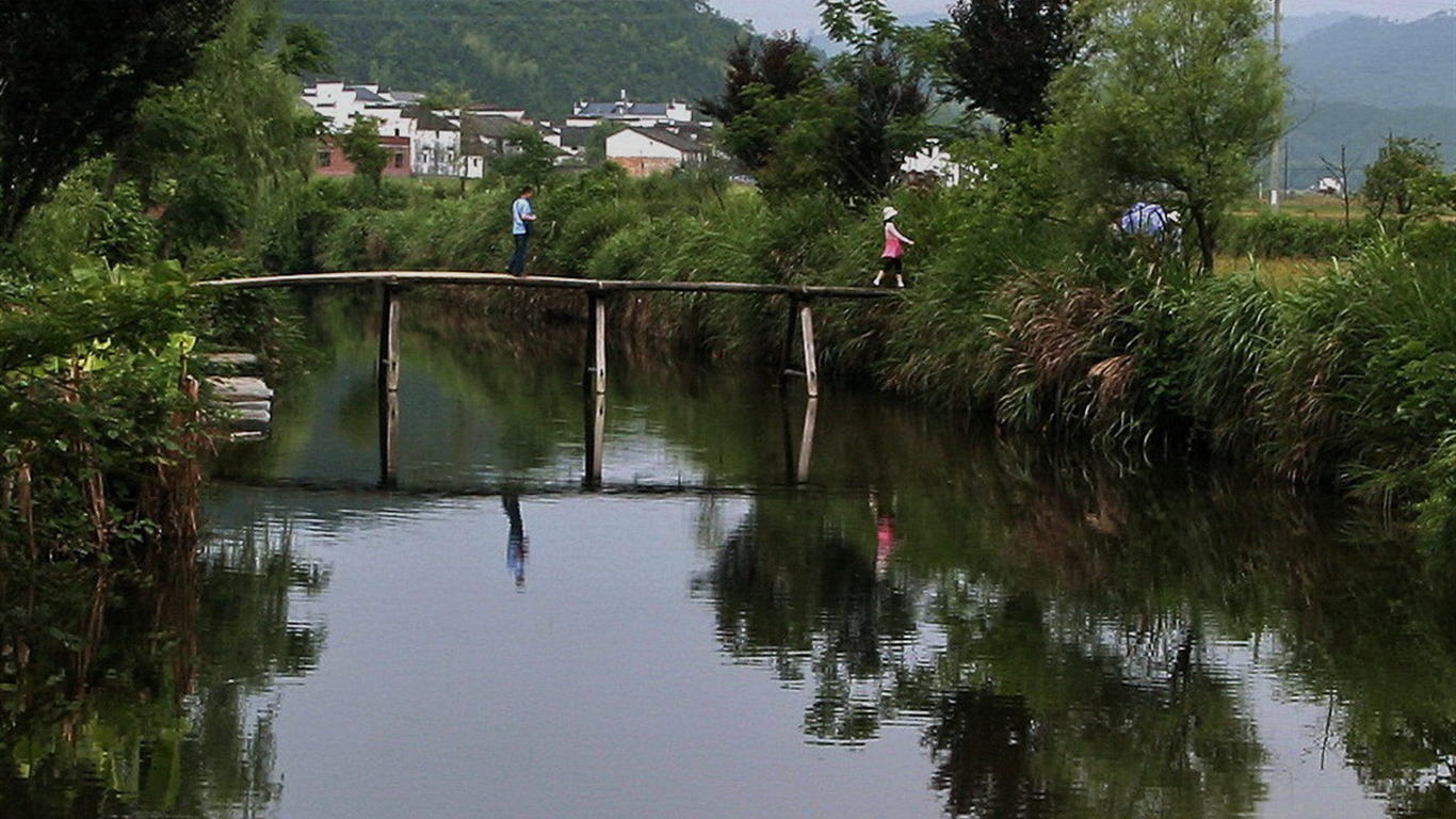 Wuyuan en la línea de la lluvia (Minghu obras Metasequoia) #17 - 1366x768