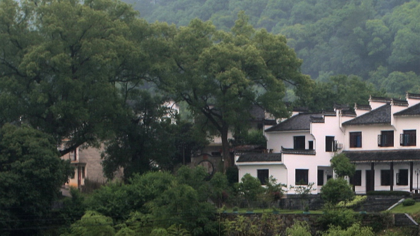 Wuyuan in the rain line (Minghu Metasequoia works) #18 - 1366x768