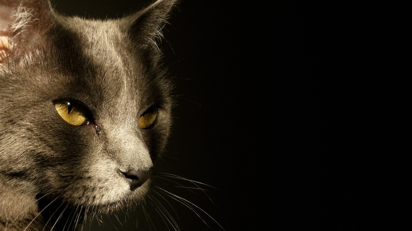 Individualita design wallpaper #13 - 1366x768
