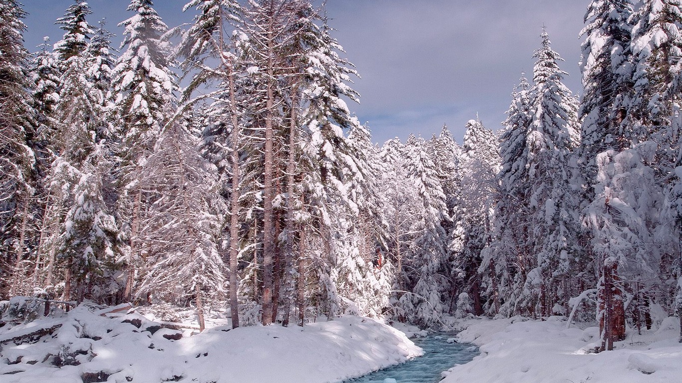 Webshots Krajina Tapety na plochu (1) #4 - 1366x768