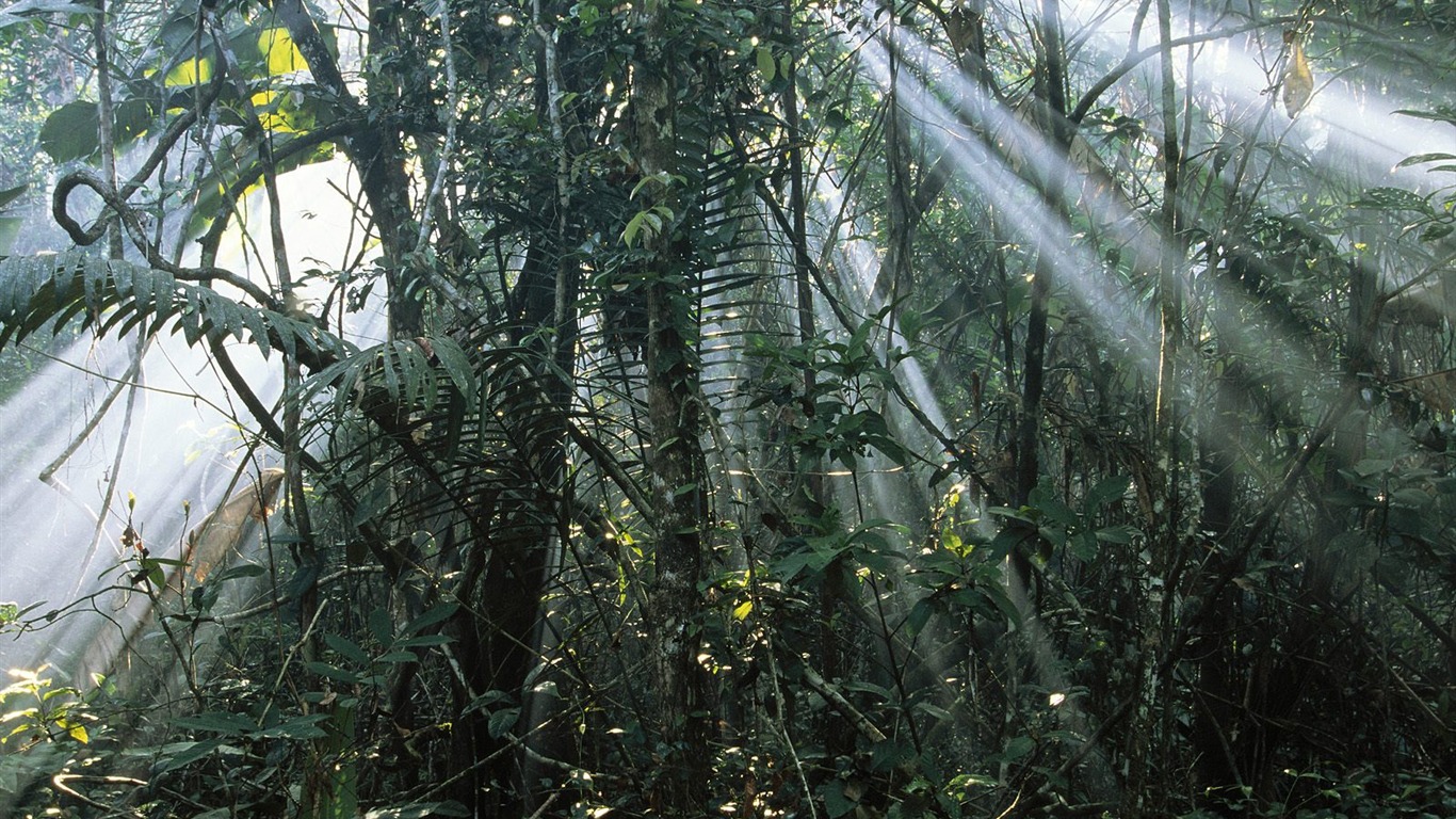Webshots风光壁纸(一)23 - 1366x768