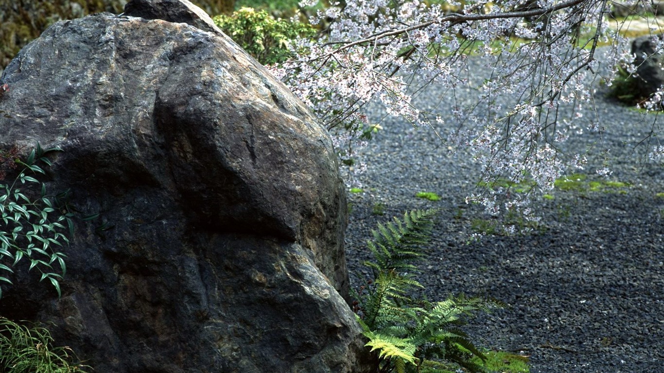 春色 自然風景壁紙 #23 - 1366x768