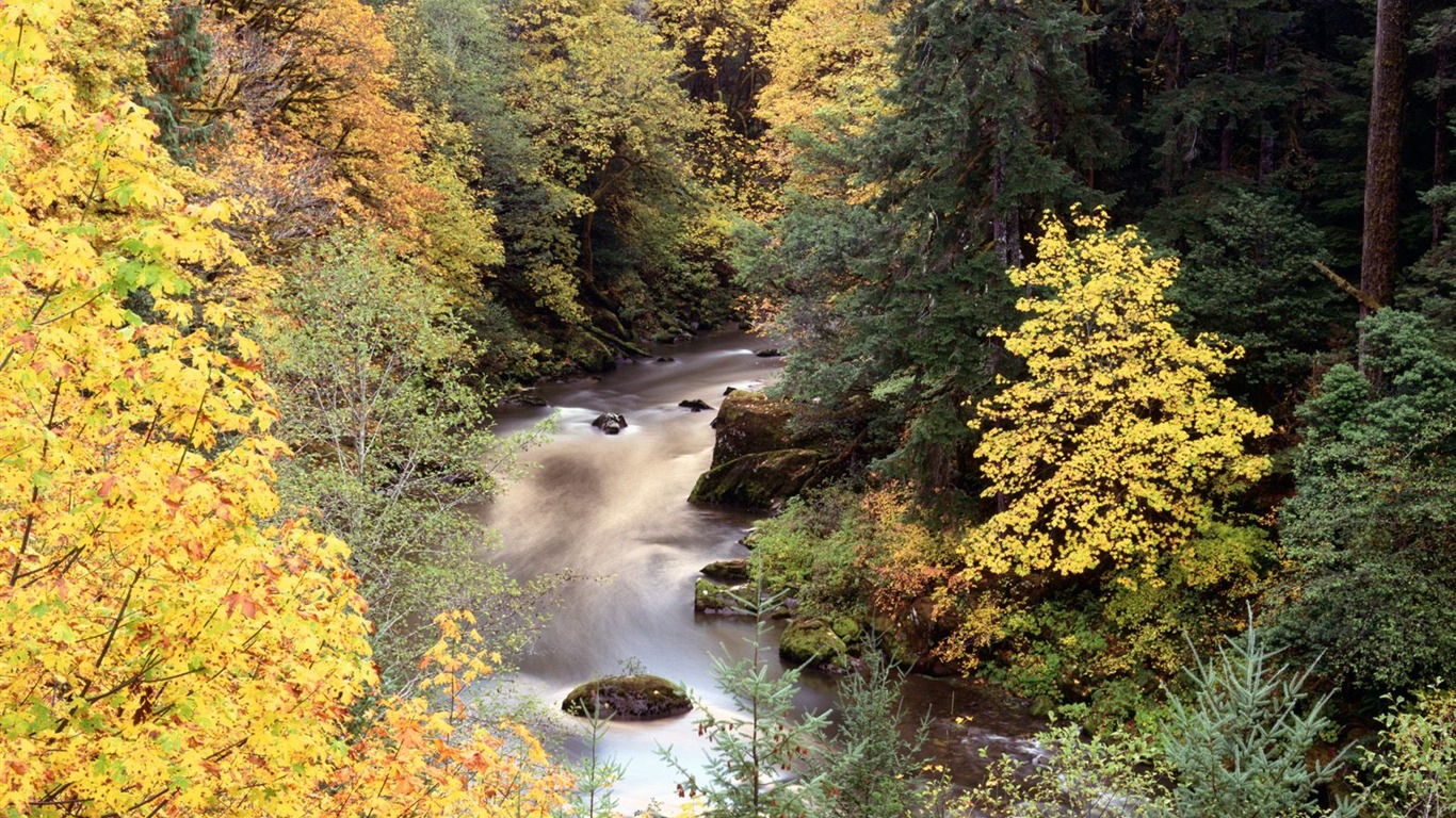 Herbstlandschaft schöne Tapete #12 - 1366x768