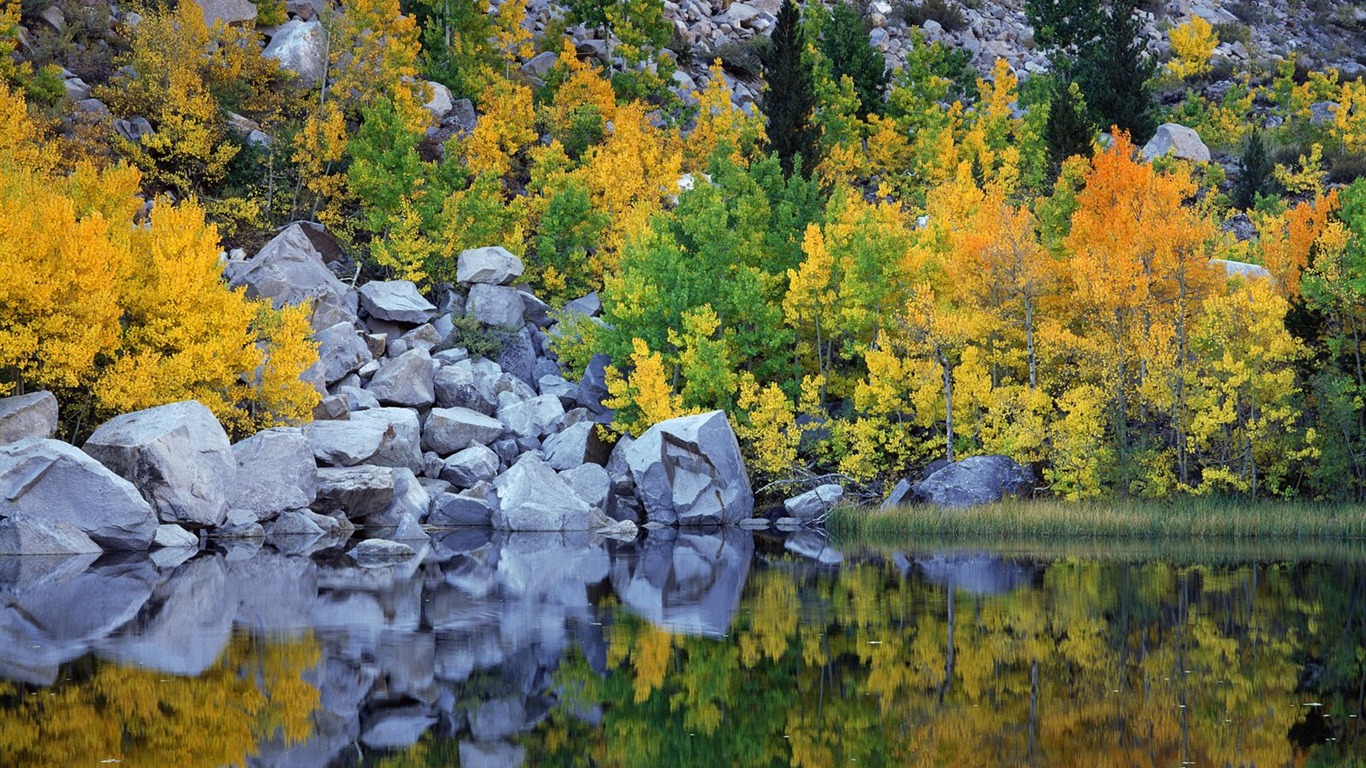 Herbstlandschaft schöne Tapete #13 - 1366x768