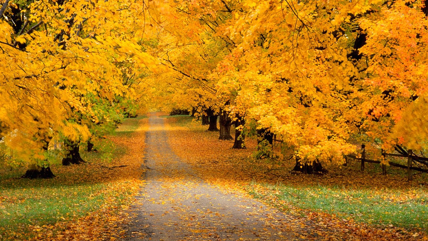 Otoño fondos de escritorio de bellos paisajes #16 - 1366x768