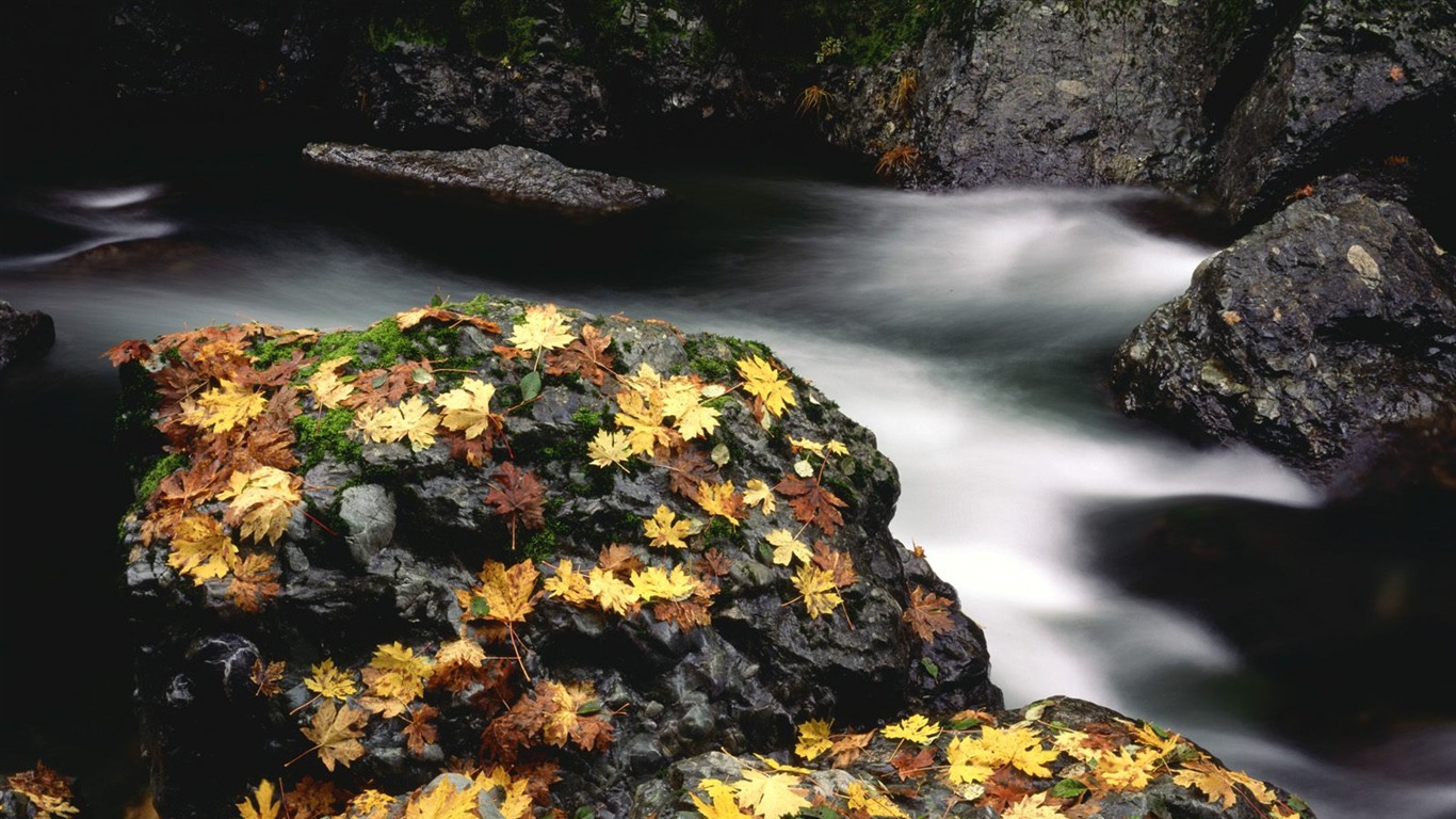 Otoño fondos de escritorio de bellos paisajes #20 - 1366x768