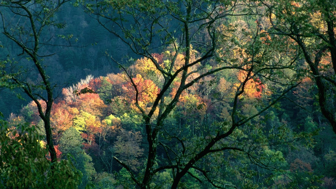 Otoño fondos de escritorio de bellos paisajes #22 - 1366x768