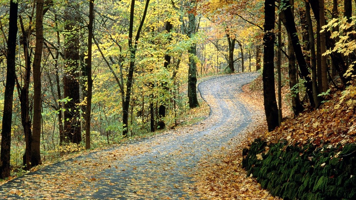 Podzimní krajina krásná tapeta #23 - 1366x768