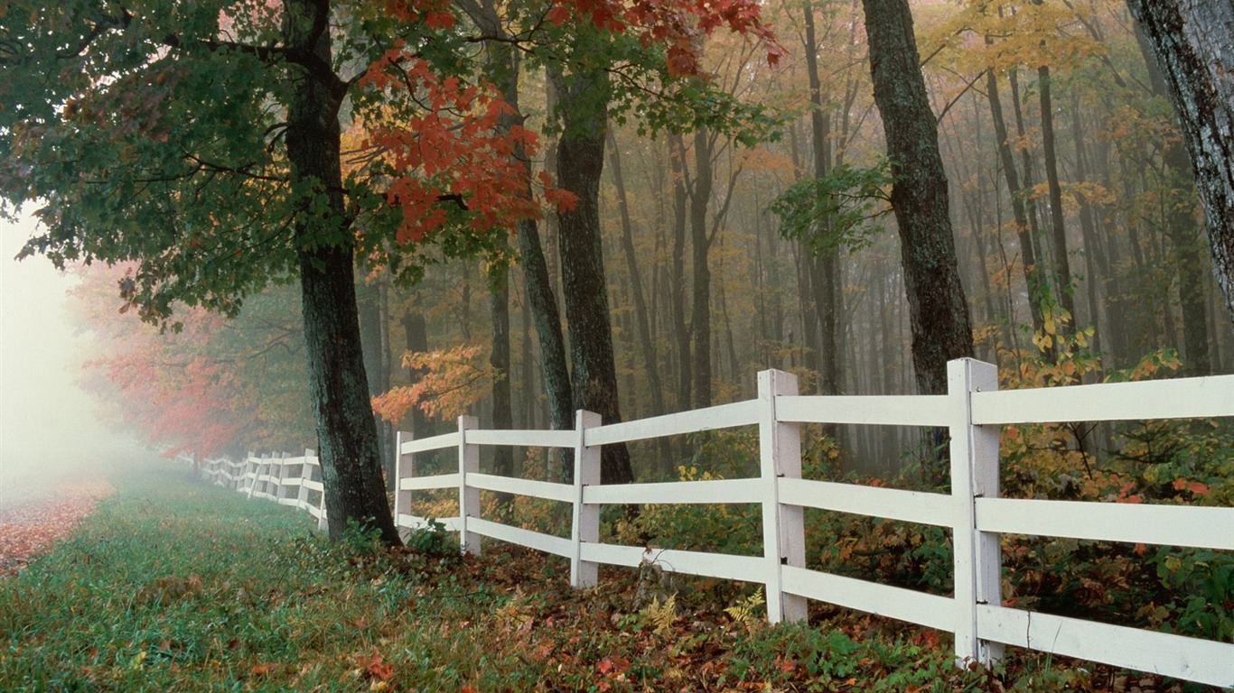 Herbstlandschaft schöne Tapete #24 - 1366x768