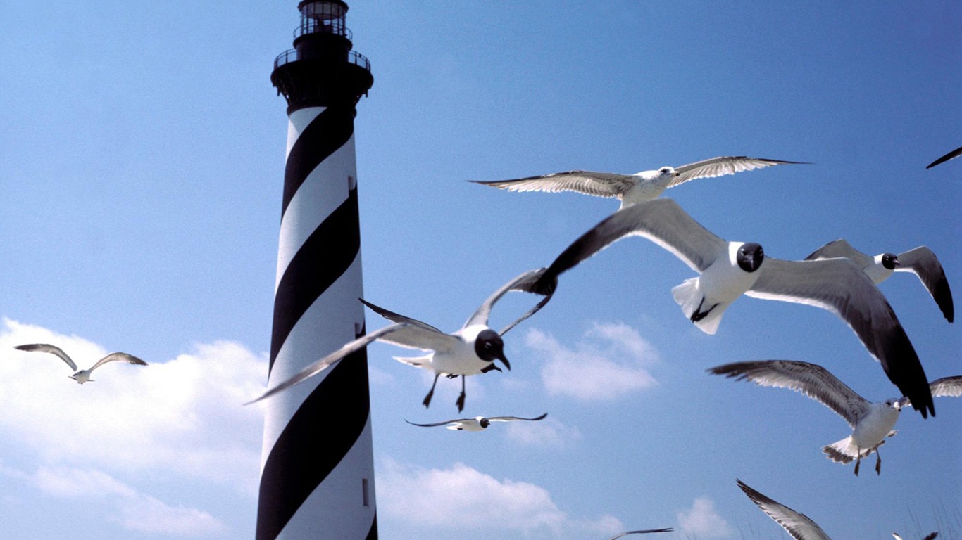 Coastal Lighthouse HD Wallpaper #35 - 1366x768