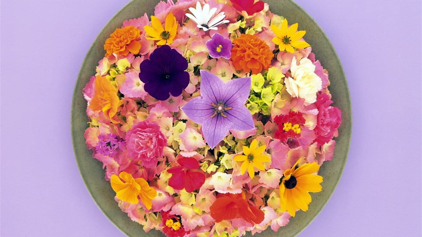 Floral feast Wallpaper #6 - 1366x768