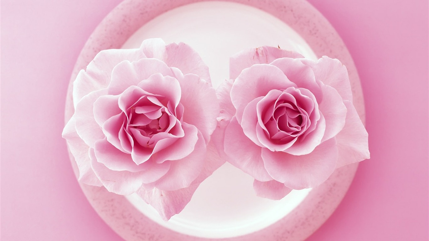 花藝大餐寬屏壁紙 #12 - 1366x768