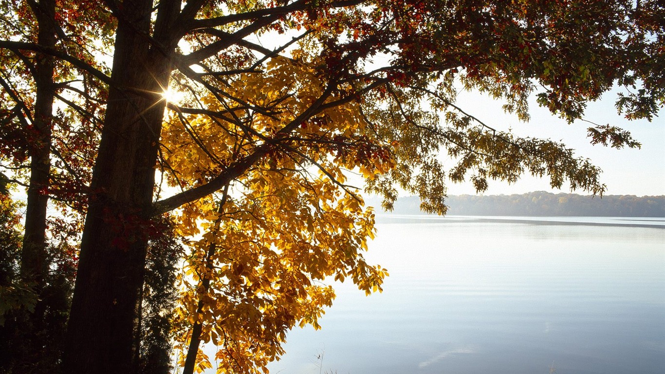 Webshots風光壁紙(二) #37 - 1366x768