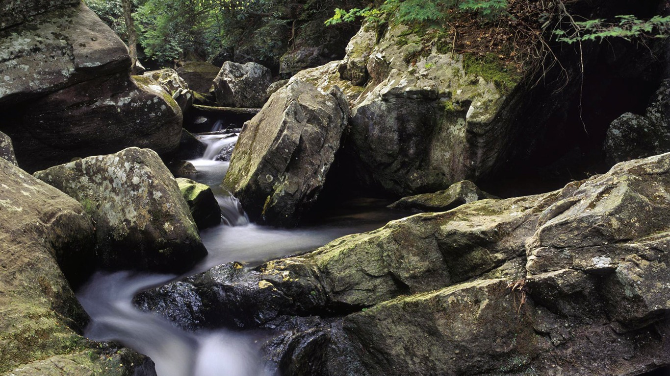 溪流河水高清壁紙 #6 - 1366x768