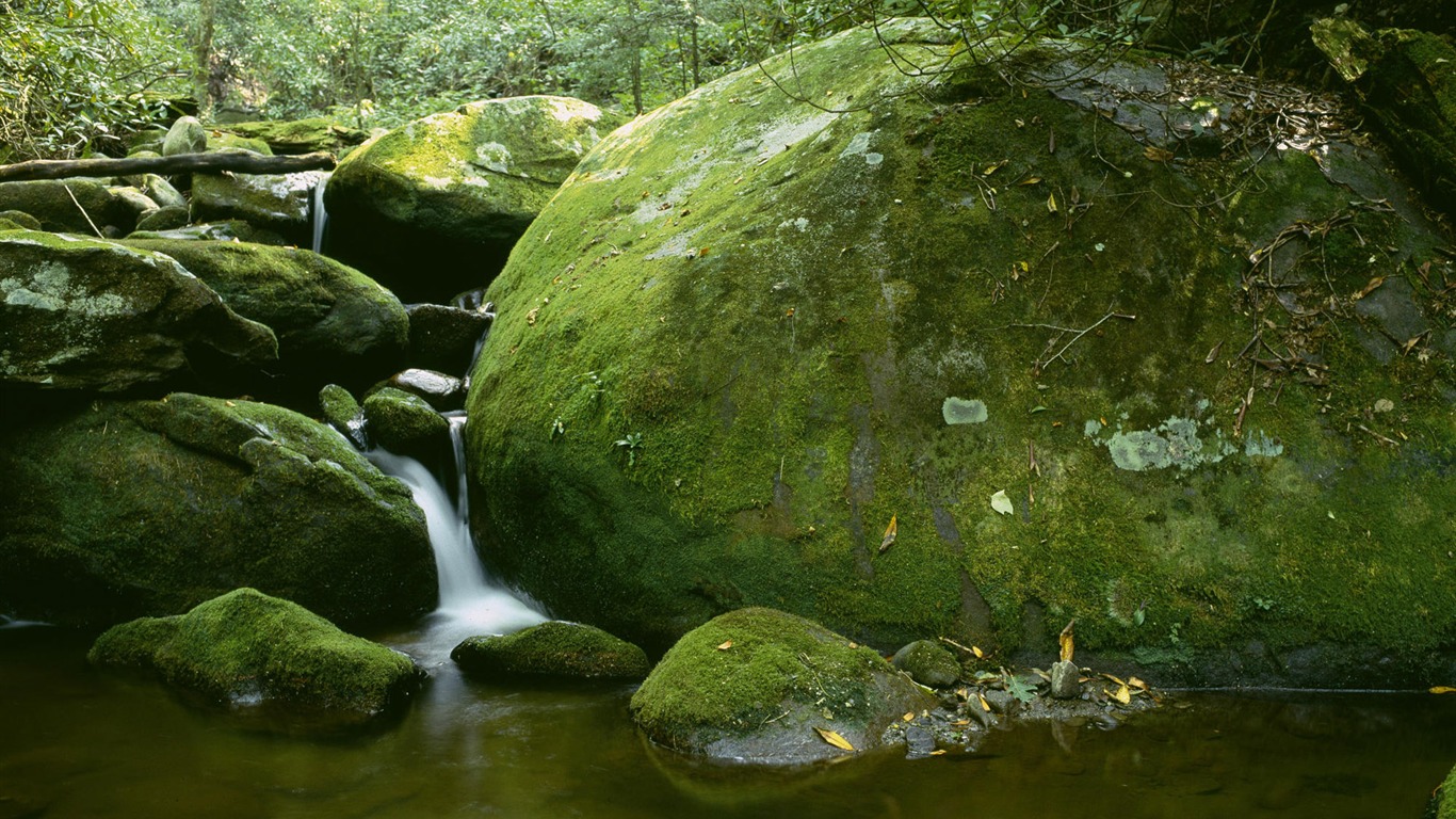 溪流河水高清壁紙 #10 - 1366x768