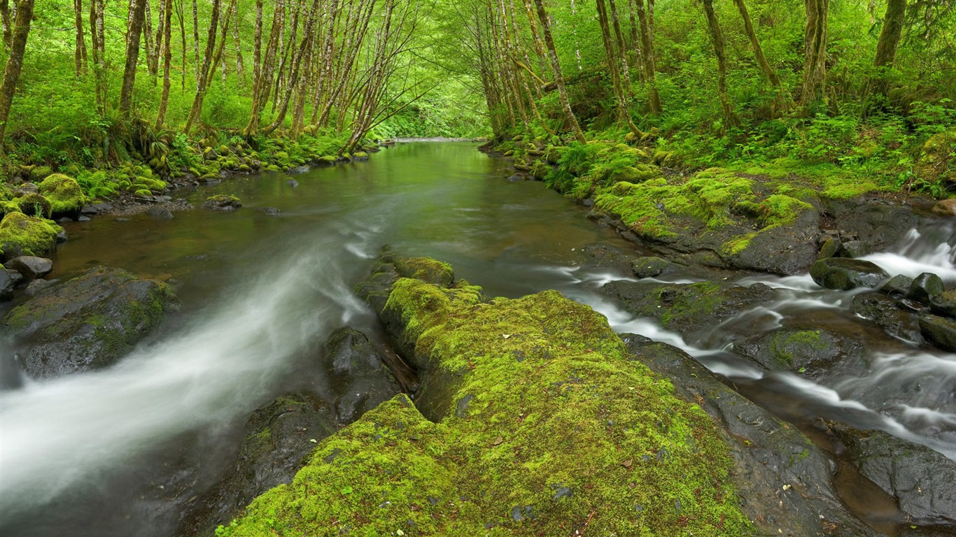 Water streams HD Wallpapers #11 - 1366x768