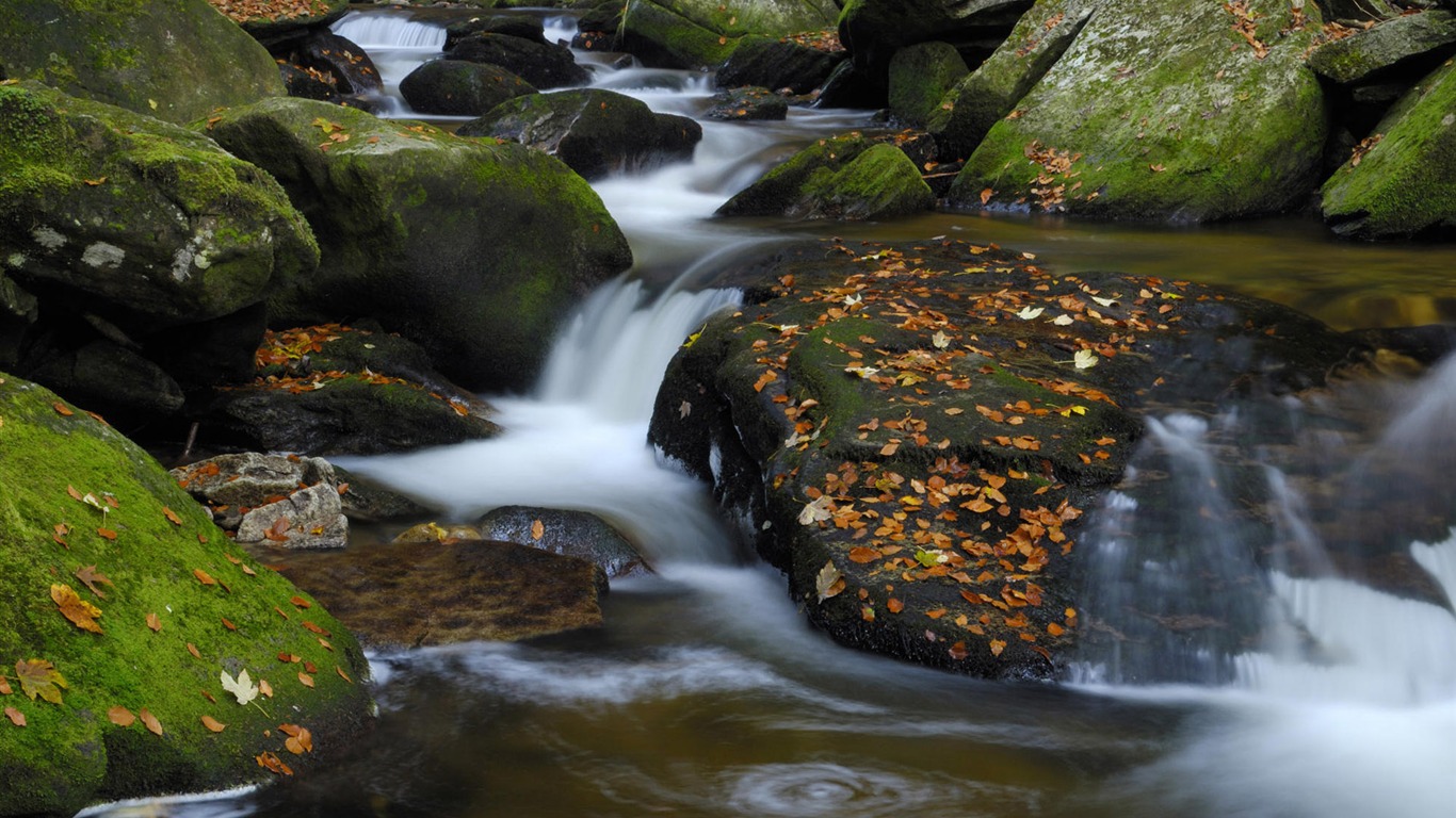 Water streams HD Wallpapers #13 - 1366x768
