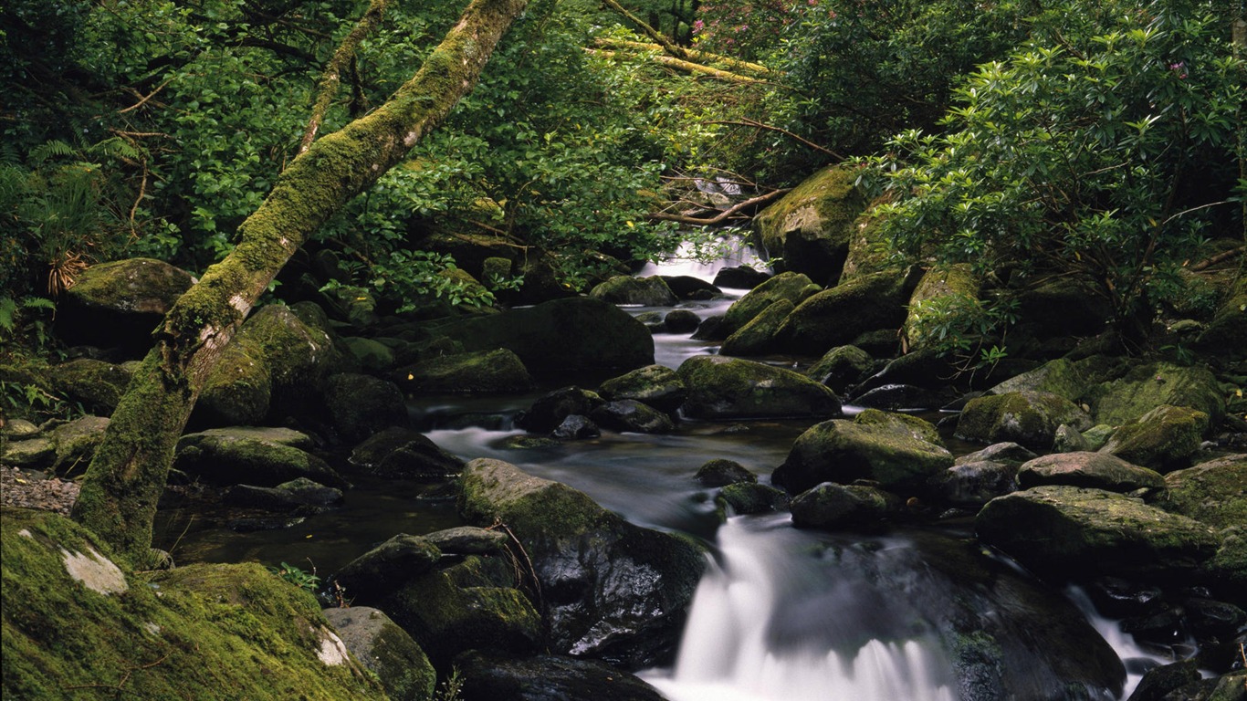 Water streams HD Wallpapers #14 - 1366x768