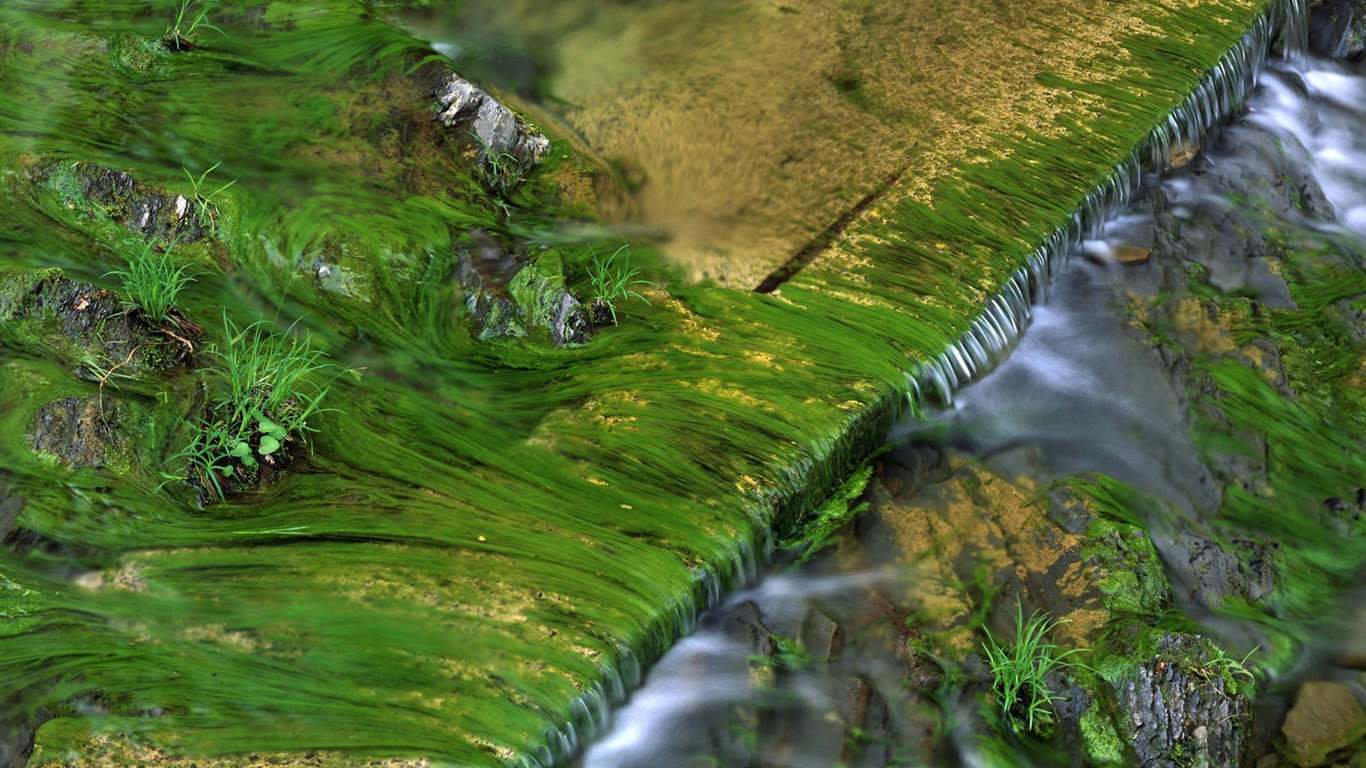 Water streams HD Wallpapers #16 - 1366x768