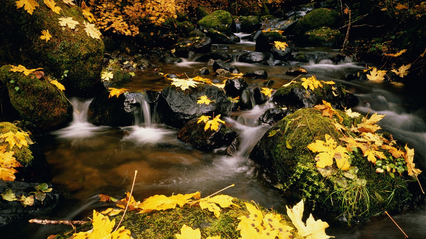 Water streams HD Wallpapers #17 - 1366x768