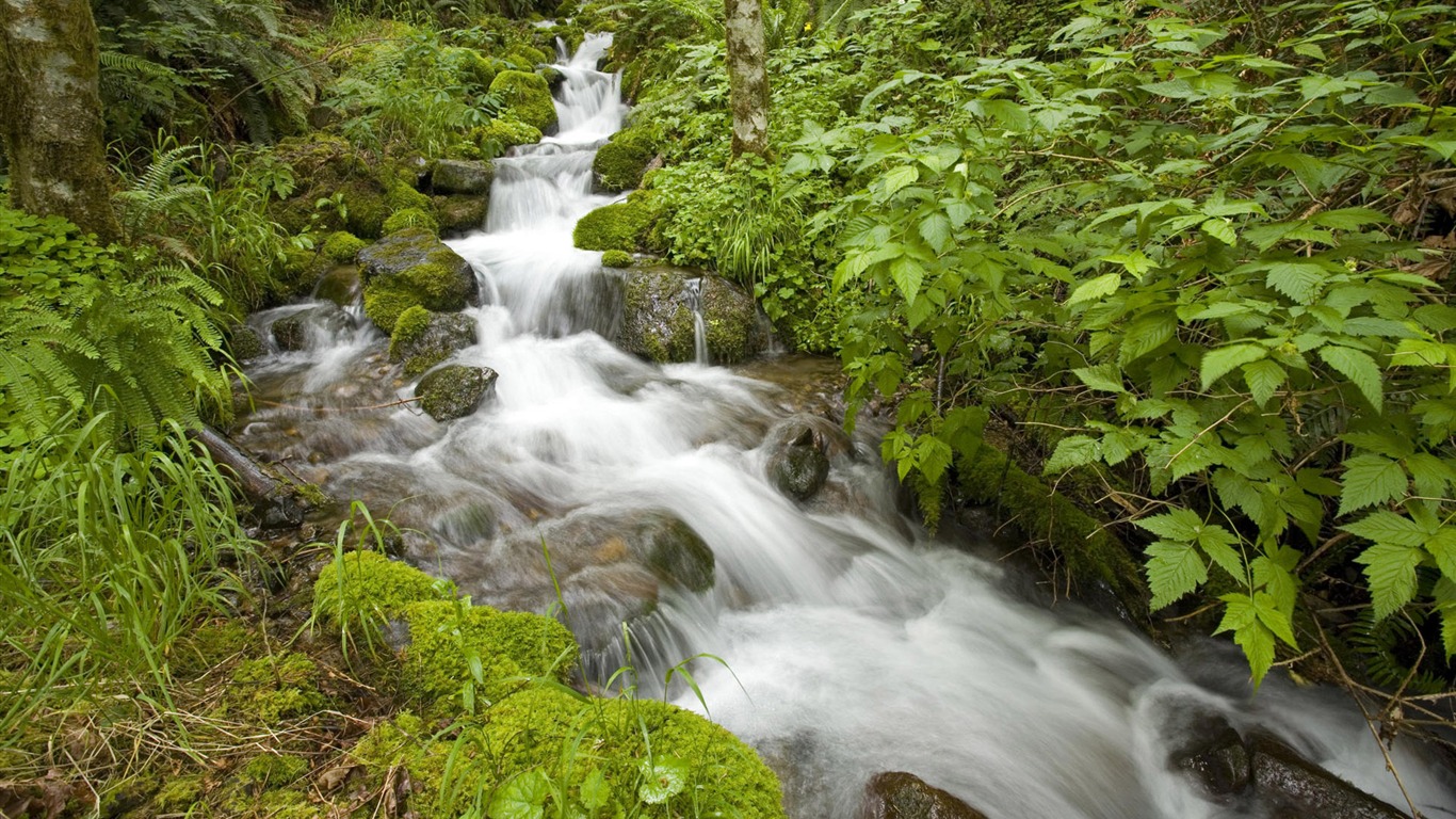 Water streams HD Wallpapers #24 - 1366x768