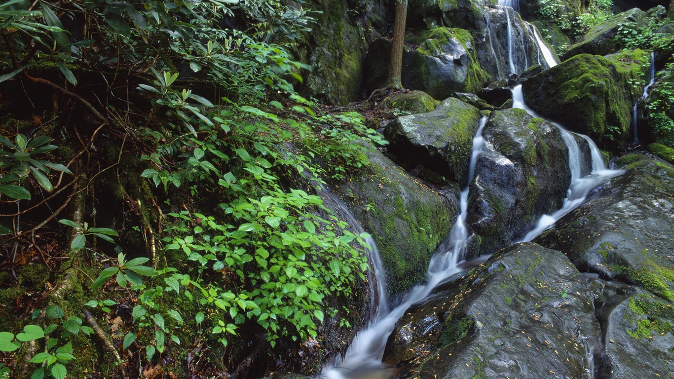 Water streams HD Wallpapers #33 - 1366x768