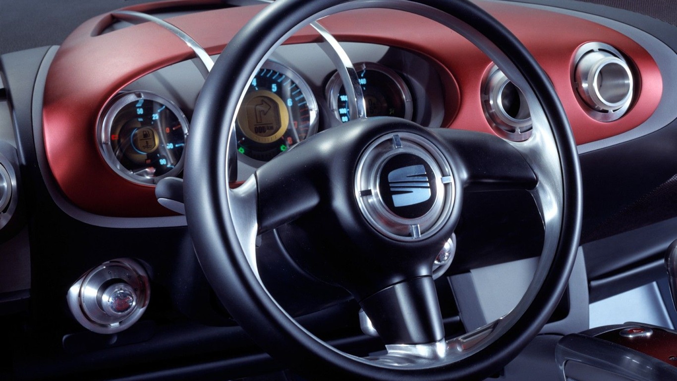 SEAT Salsa Automobile Wallpapers #4 - 1366x768