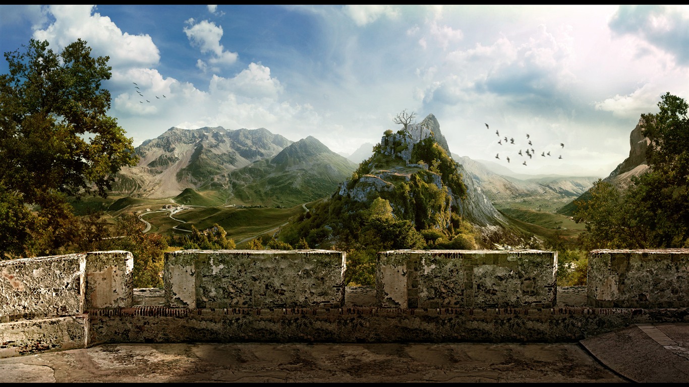 花卉植物生態壁紙 #4 - 1366x768