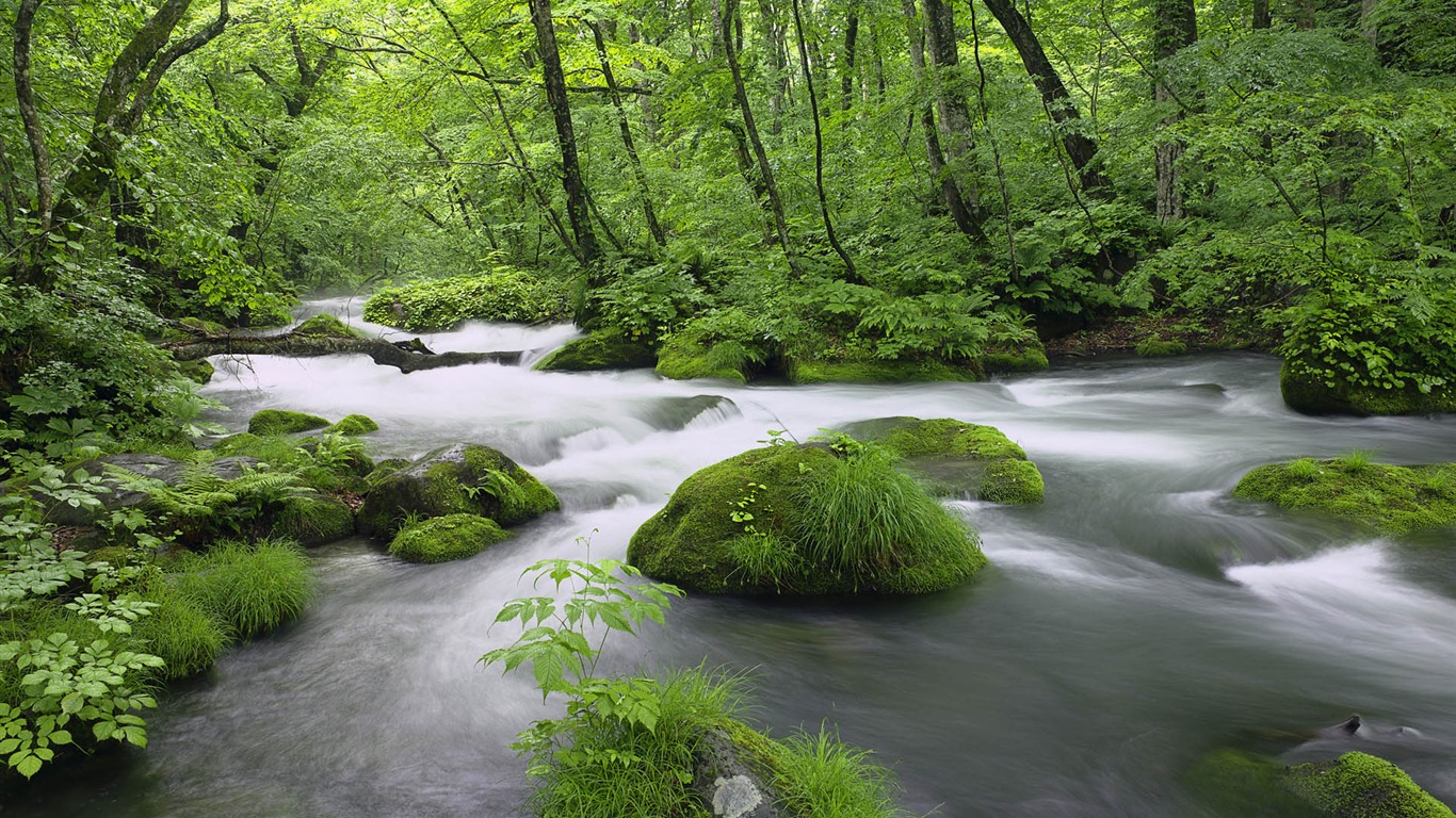 Windows7 官方風景壁紙 #11 - 1366x768