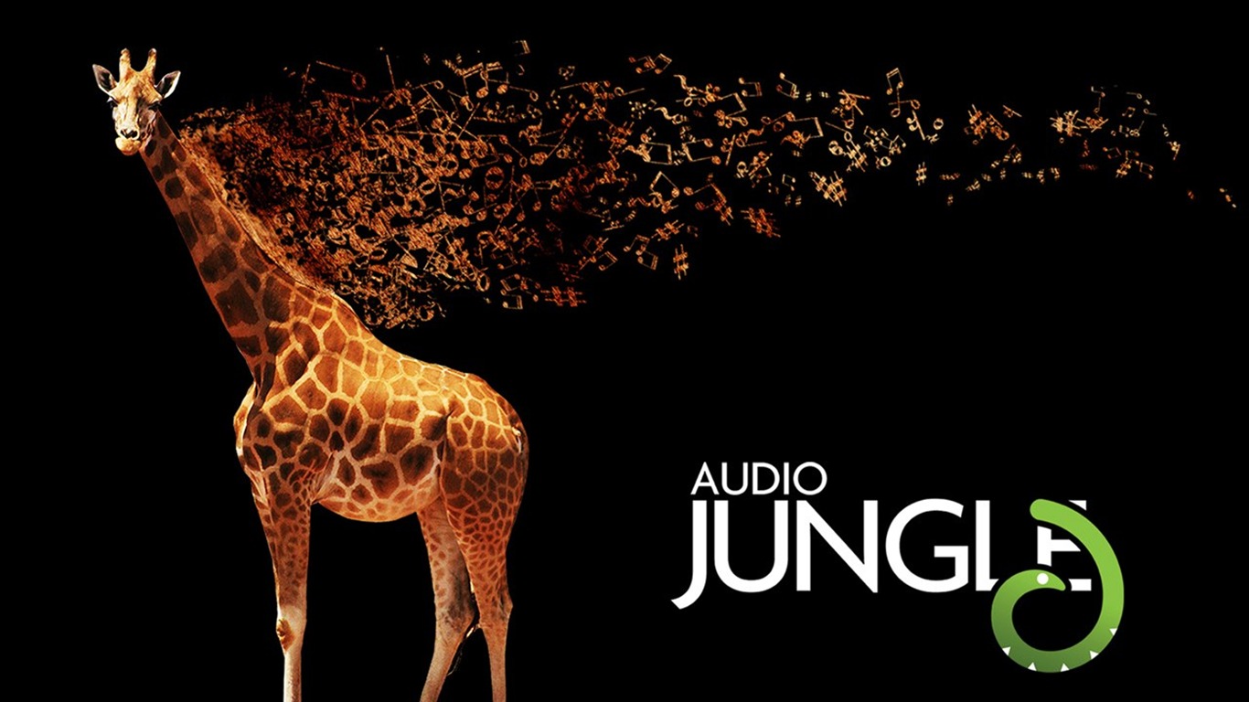 Audio Jungle diseño del papel pintado #11 - 1366x768
