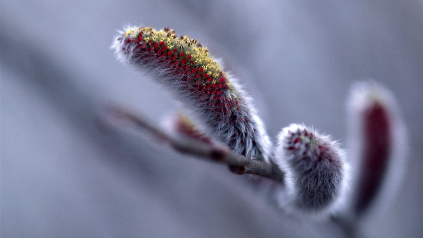 HD wallpaper cool winter snow scene #14 - 1366x768