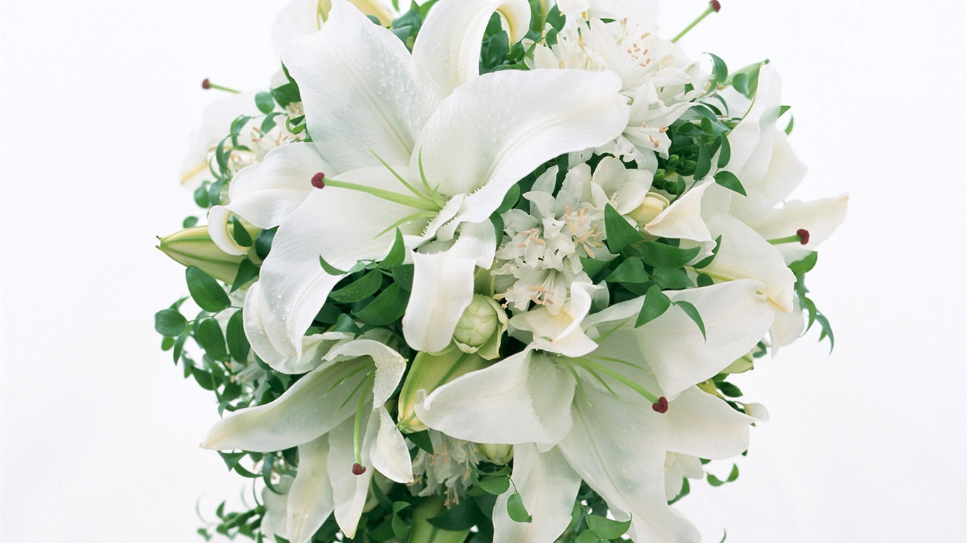 눈같이 흰 꽃 벽지 #5 - 1366x768