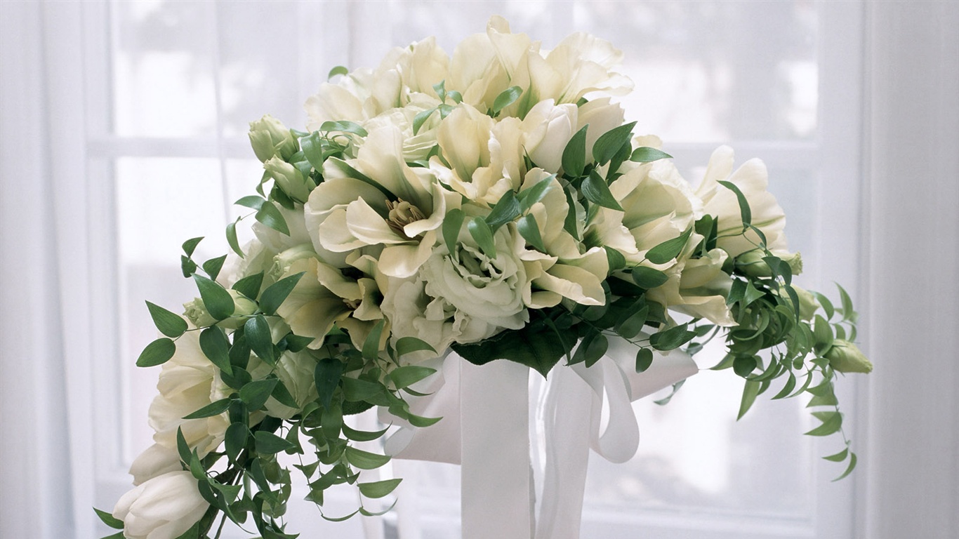 雪白花朵壁紙 #6 - 1366x768