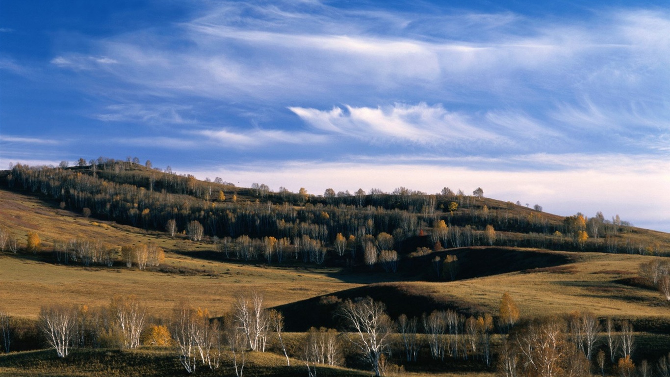 The autumn forest wallpaper #32 - 1366x768