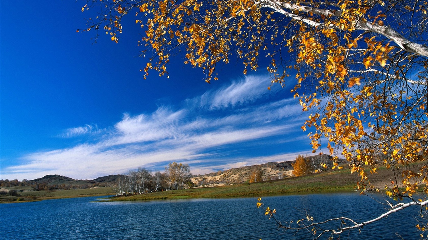 El fondo de pantalla bosque del otoño #36 - 1366x768