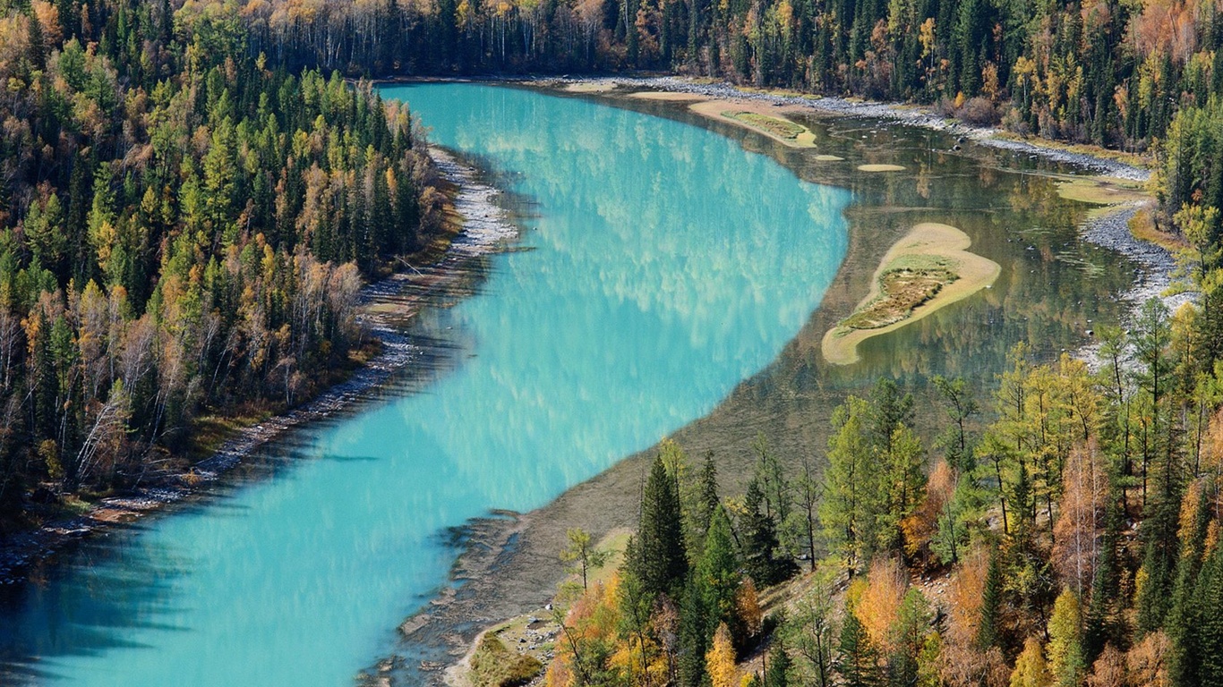 El fondo de pantalla bosque del otoño #42 - 1366x768