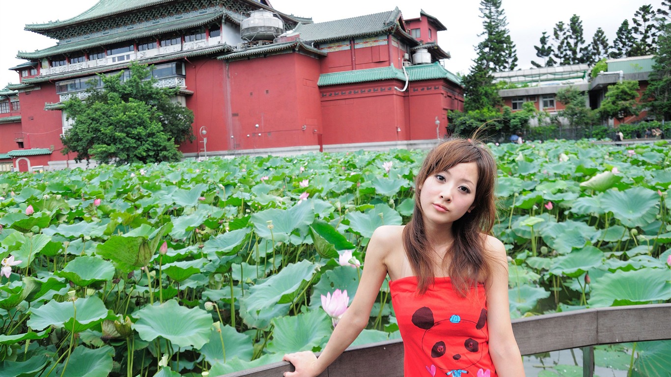 Tchaj-wan MM ovoce wallpaper album (3) #7 - 1366x768