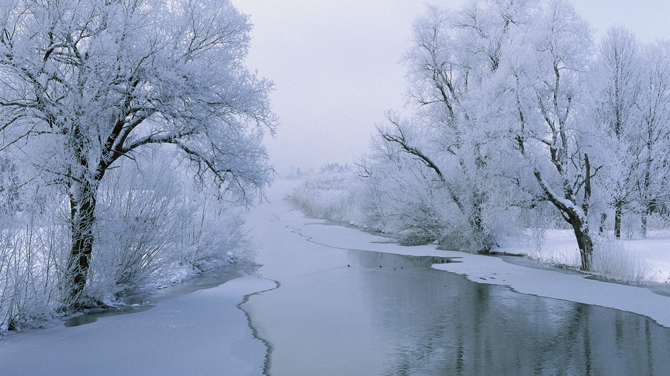 Nejlepší Tapety na plochu (1) #40 - 1366x768